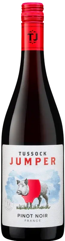 Pinot noir tussock usa