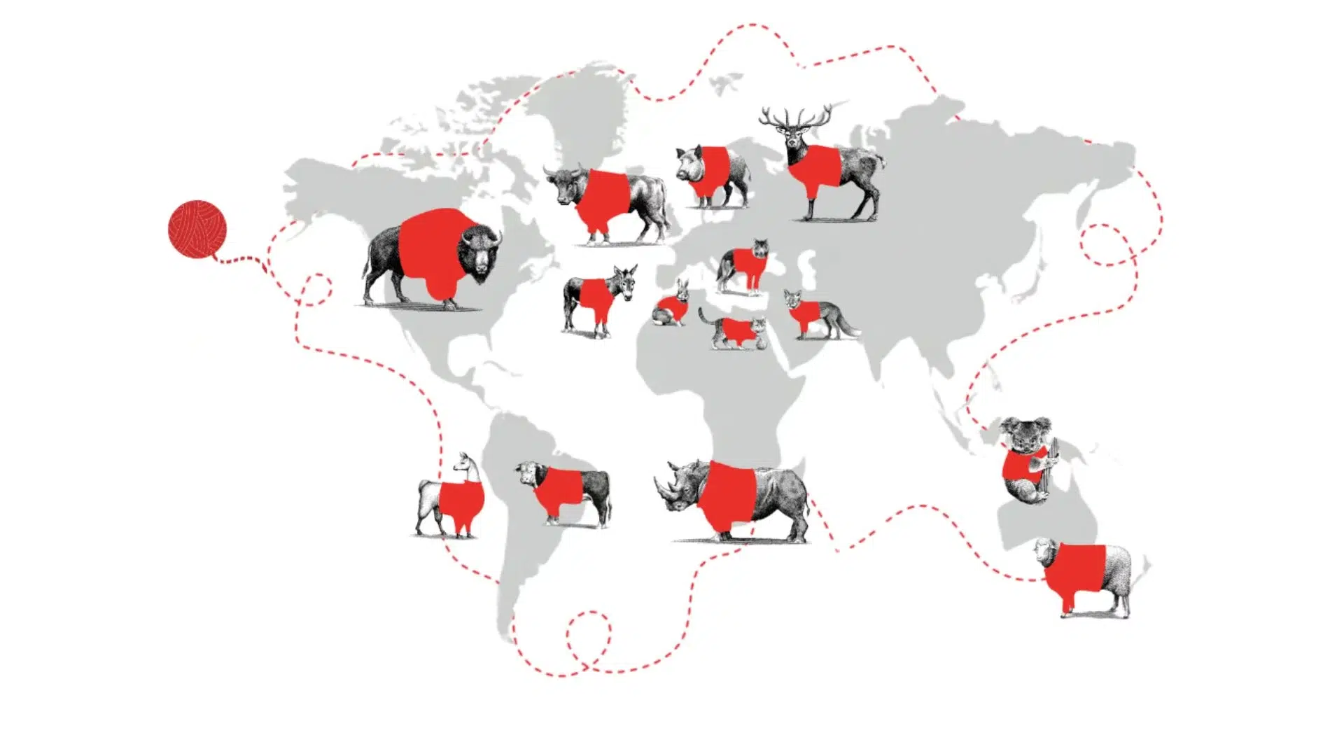 world-map-wines Discover a world of wines