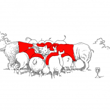 Herd Gathering Tussock Jumper Wines